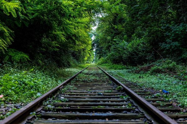 Asya borsaları karışık seyirle kapandı